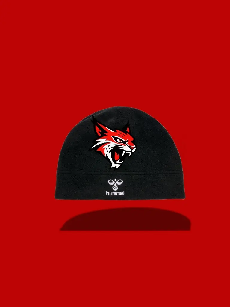 PROPOSITION LYNX VALENCE.webp
